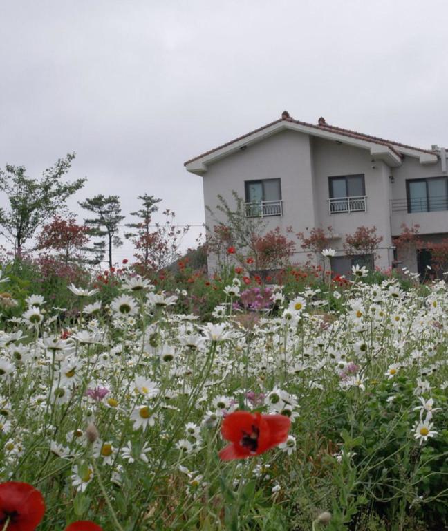 Baghdad House Jeju Exterior foto