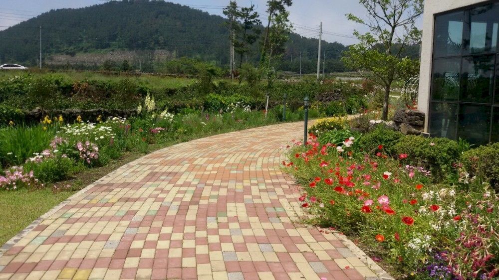 Baghdad House Jeju Exterior foto